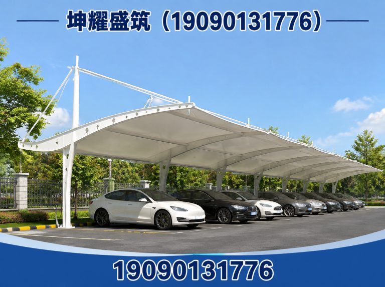 焉耆回族自治县膜结构施工展示图